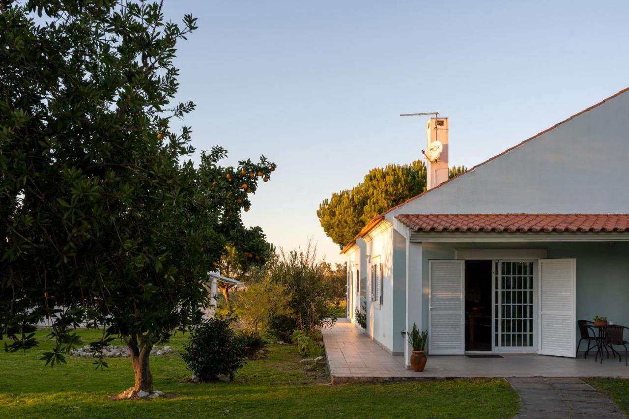 Na Quinta- Alojamento Rural Com Piscina De Agua Salgada Poceirao Екстериор снимка