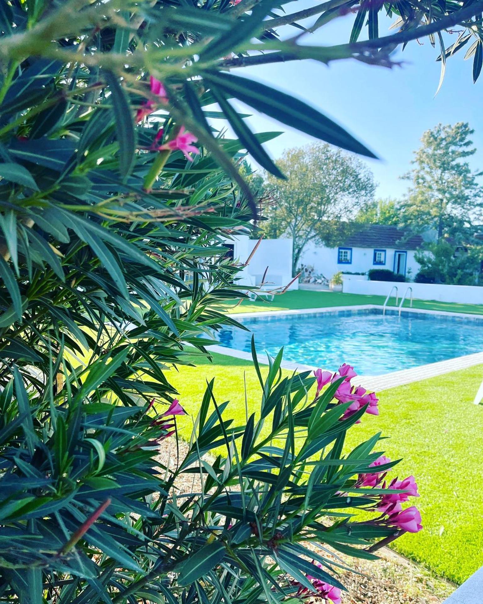 Na Quinta- Alojamento Rural Com Piscina De Agua Salgada Poceirao Екстериор снимка