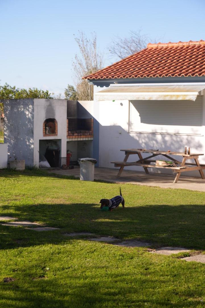 Na Quinta- Alojamento Rural Com Piscina De Agua Salgada Poceirao Екстериор снимка